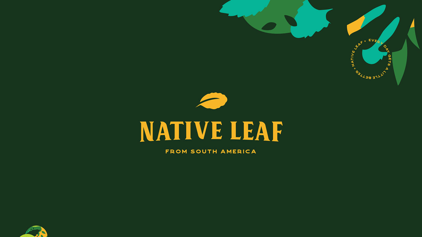 Erva-mate redesign Packaging embalagem yerba mate branding  Native leaf folhas