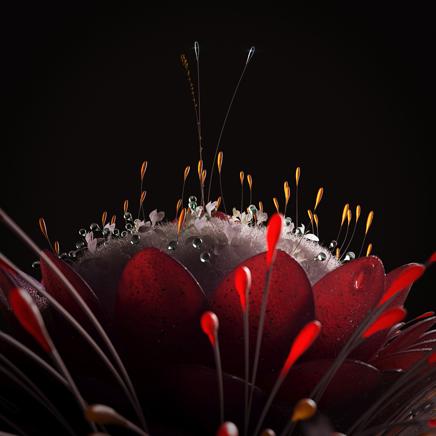 3D abstract c4d Cinema dream fantasy flower Nature octane Photography 