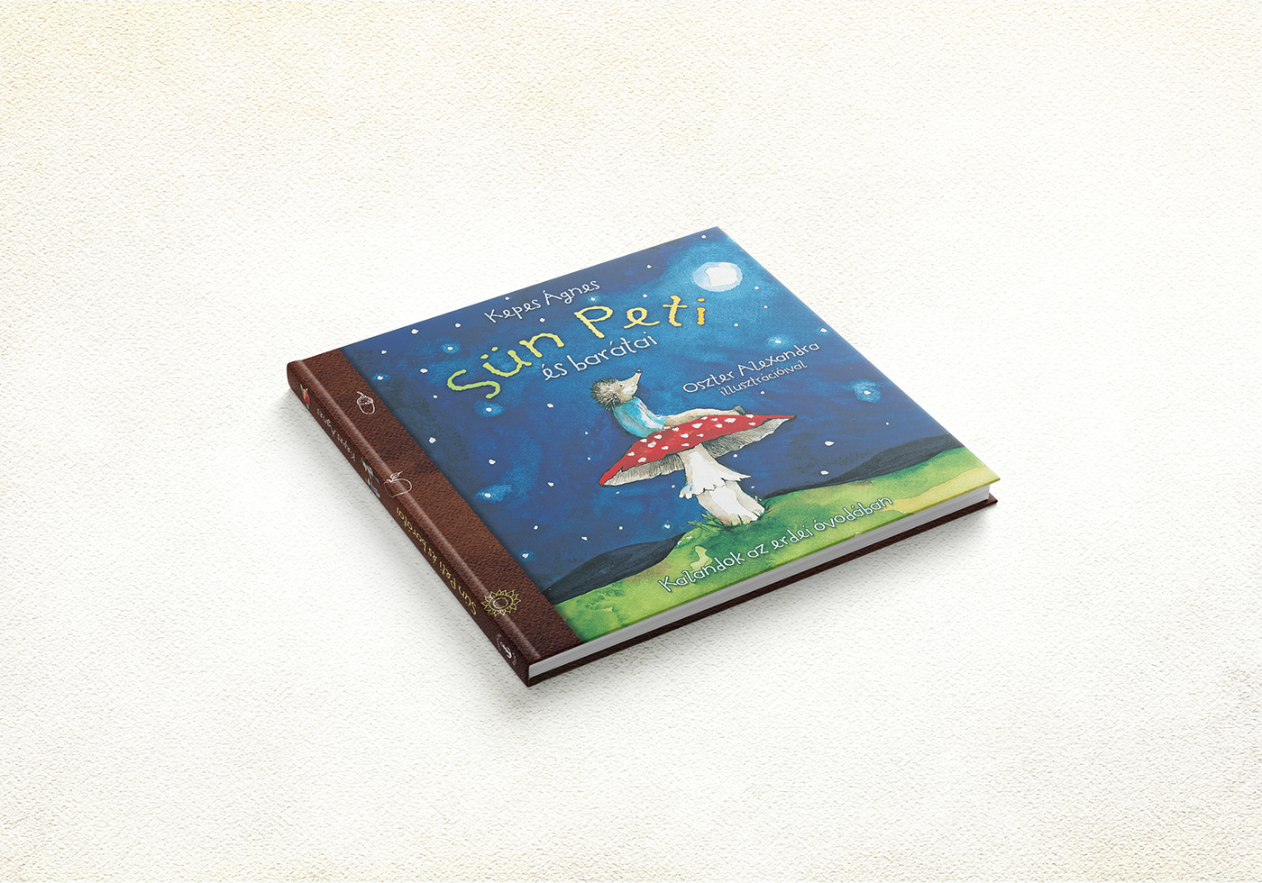 children's book cover Preschool storybook fairy tale animals hedgehogs rabbit book book design