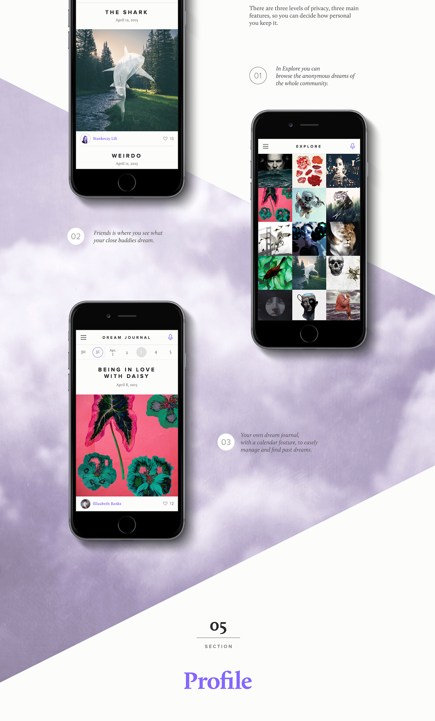 application app dream visualize collage journal digital