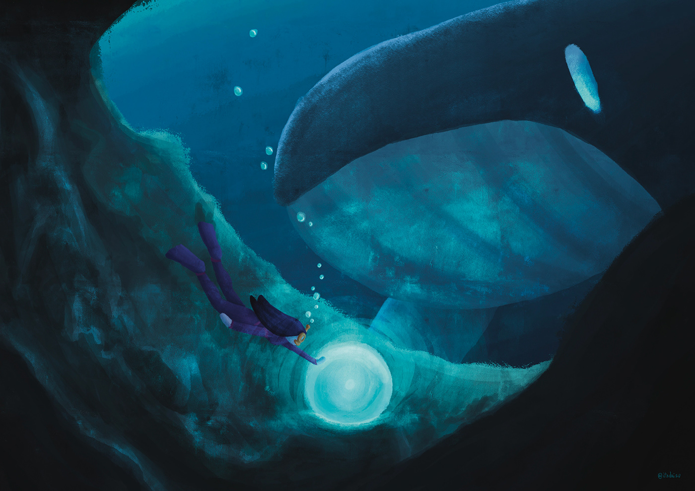 adventure cute diver ILLUSTRATION  Ocean Whale