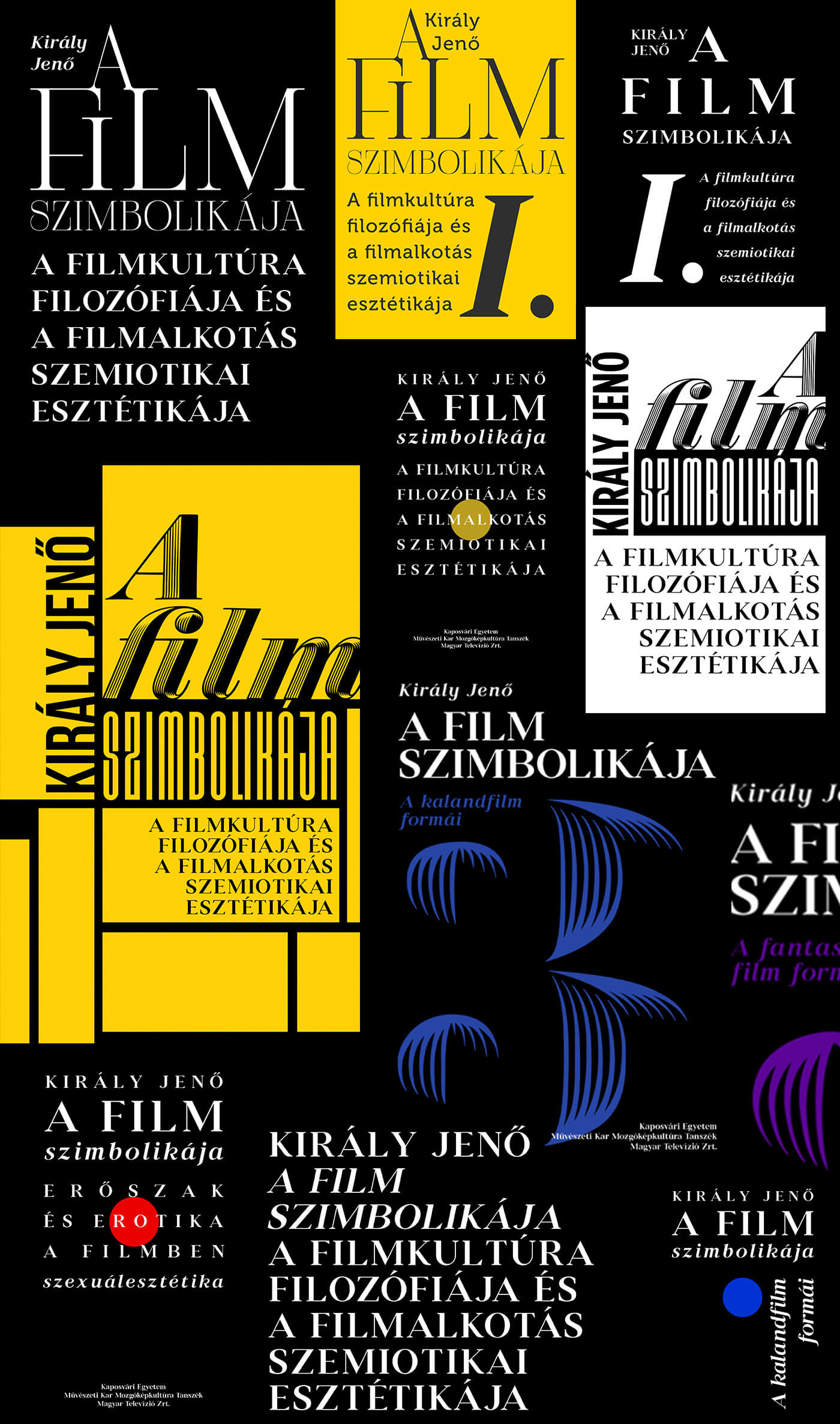 film theroy Cinema movie typography   University graphic design  book cover redesign