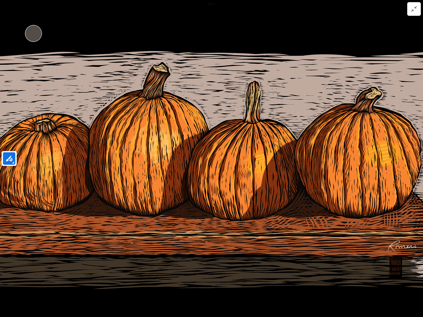 autumn Fall harvest pumpkins thanksgiving