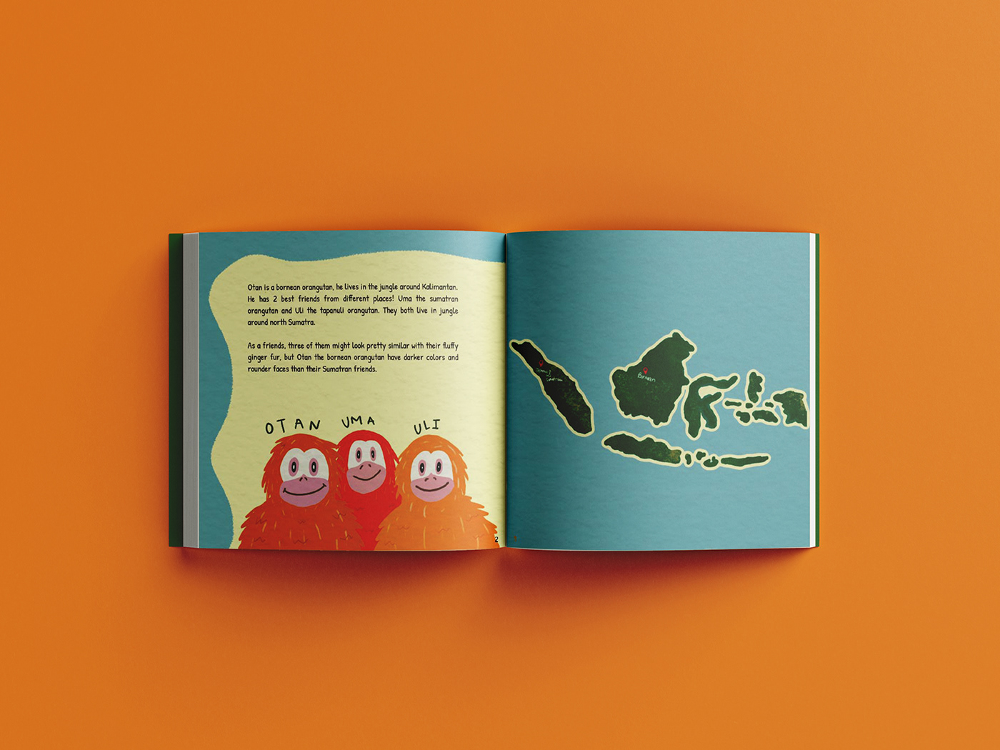book cover book design booklet design children illustration children's book ILLUSTRATION 