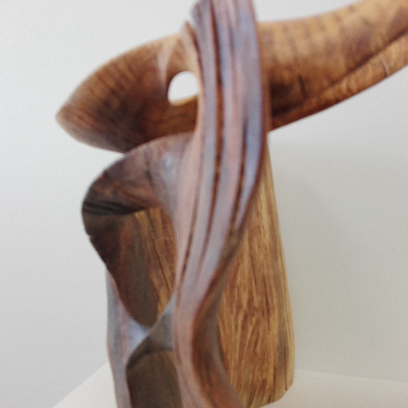 wood woodcarving sculpting  sculpture Fusta  escultura