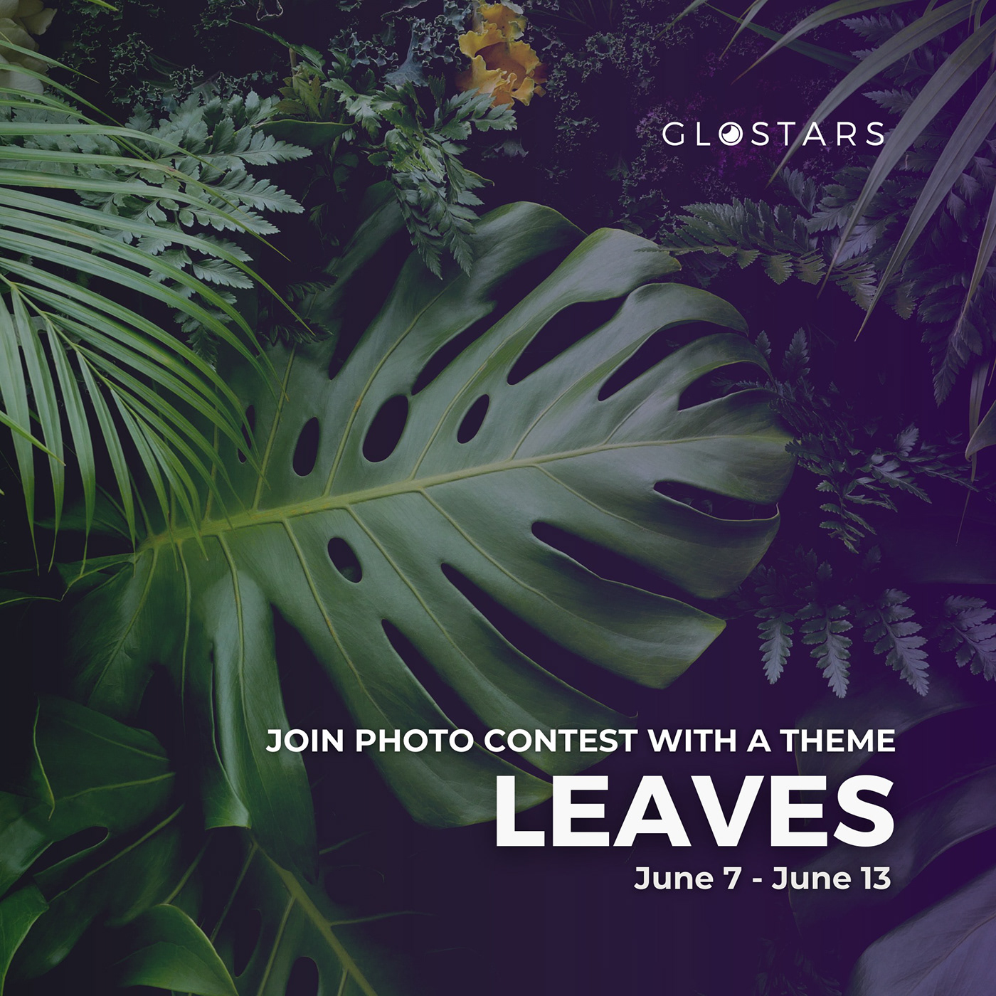 community Flowers forest glostars jungle leaves Nature PhotoContest Photography  trees