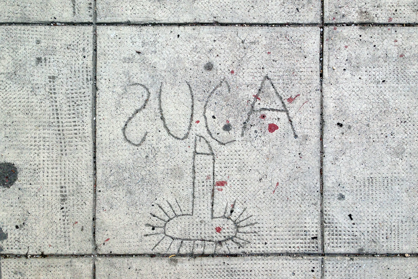 suca suca forte 800A insult Palermo sicily walls spray writings