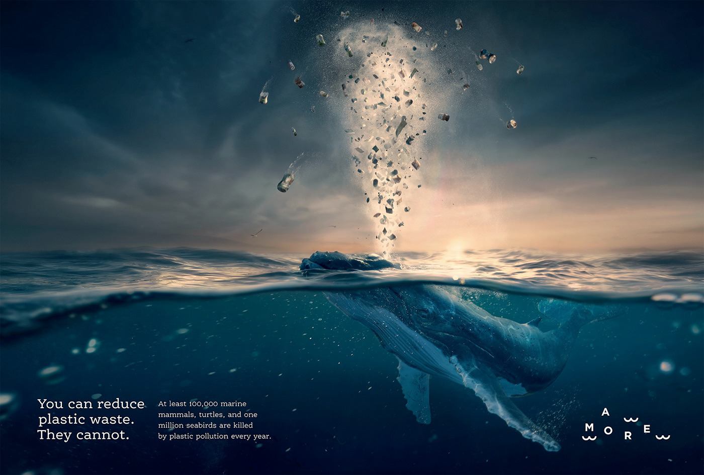 animal earth ecological Nature pollution sea sunset water Whale WWF