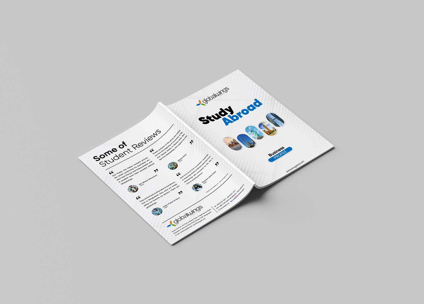 business profile brochure Advertising  brand identity marketing  