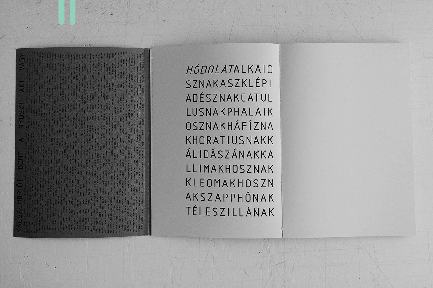 Adobe Portfolio grid Layout print book vinyl editorial cover Poetry  sound