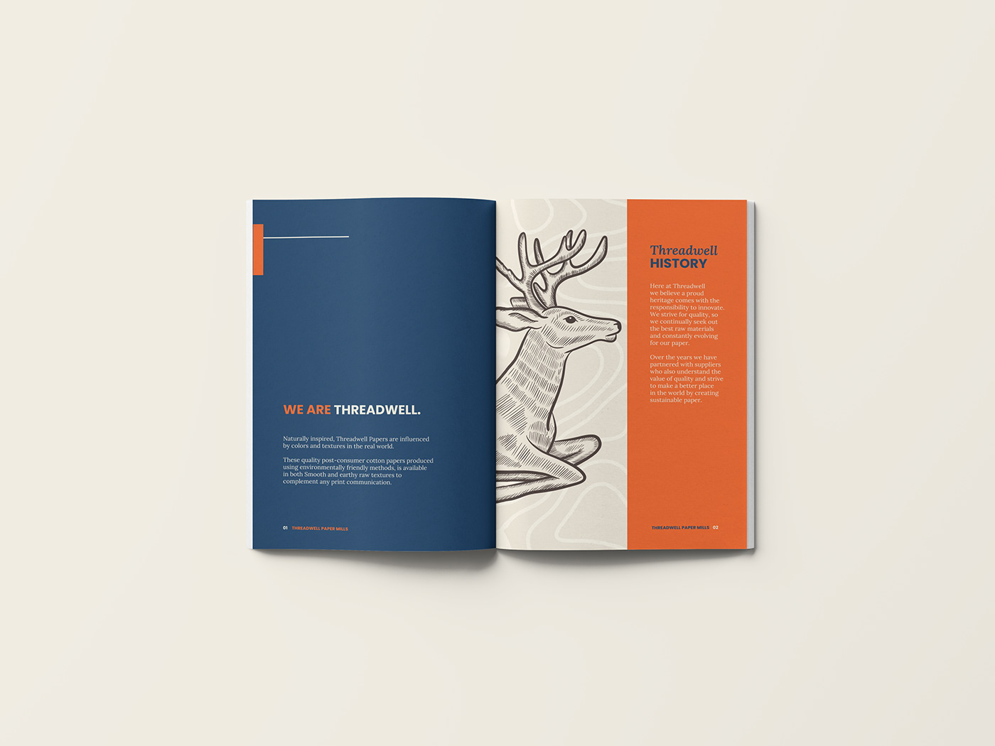 paper Sustainability Sustainable paper company Logo Design brand identity Graphic Designer design