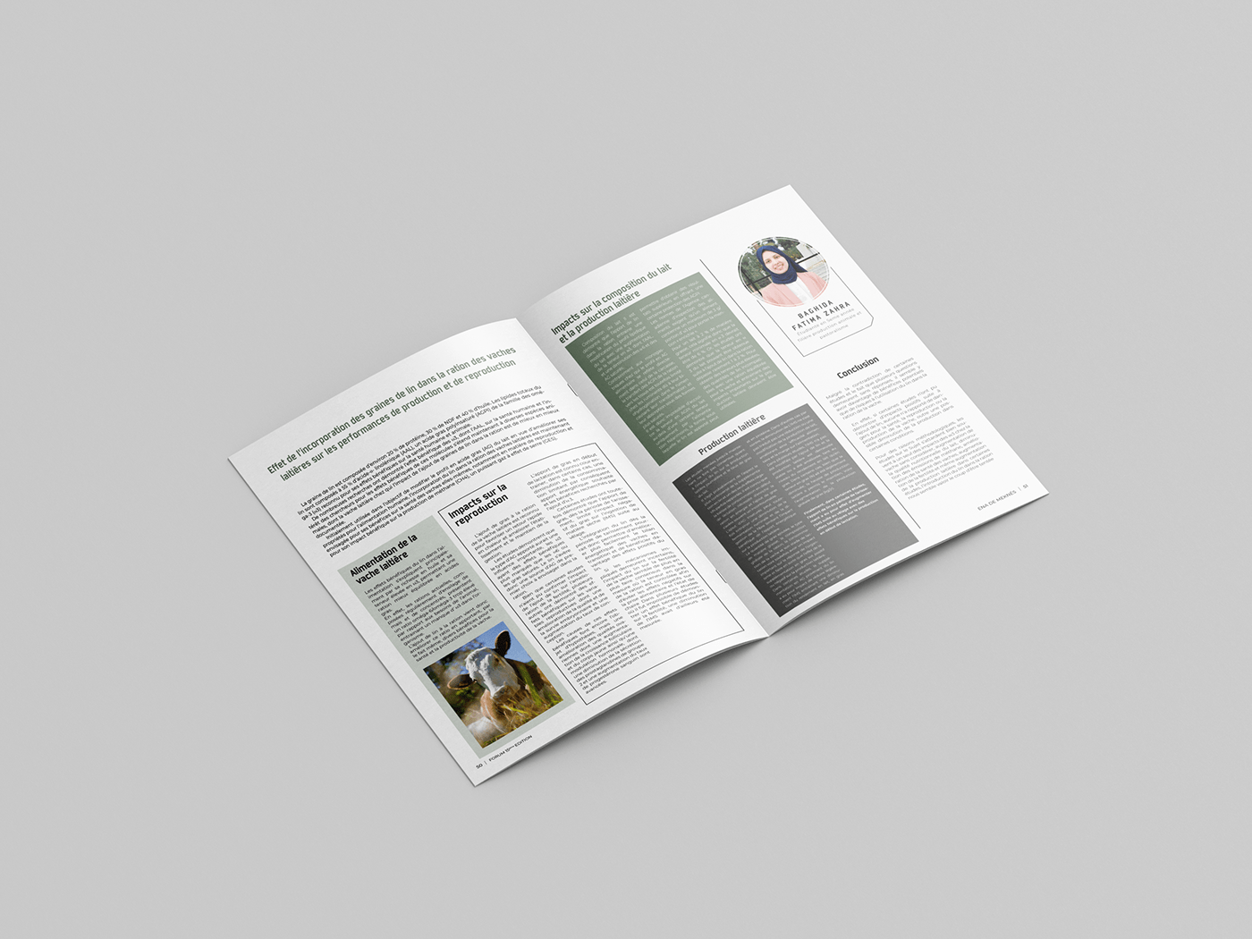 Magazine design InDesign Layout print magazine book cover design visual identity magazine layout