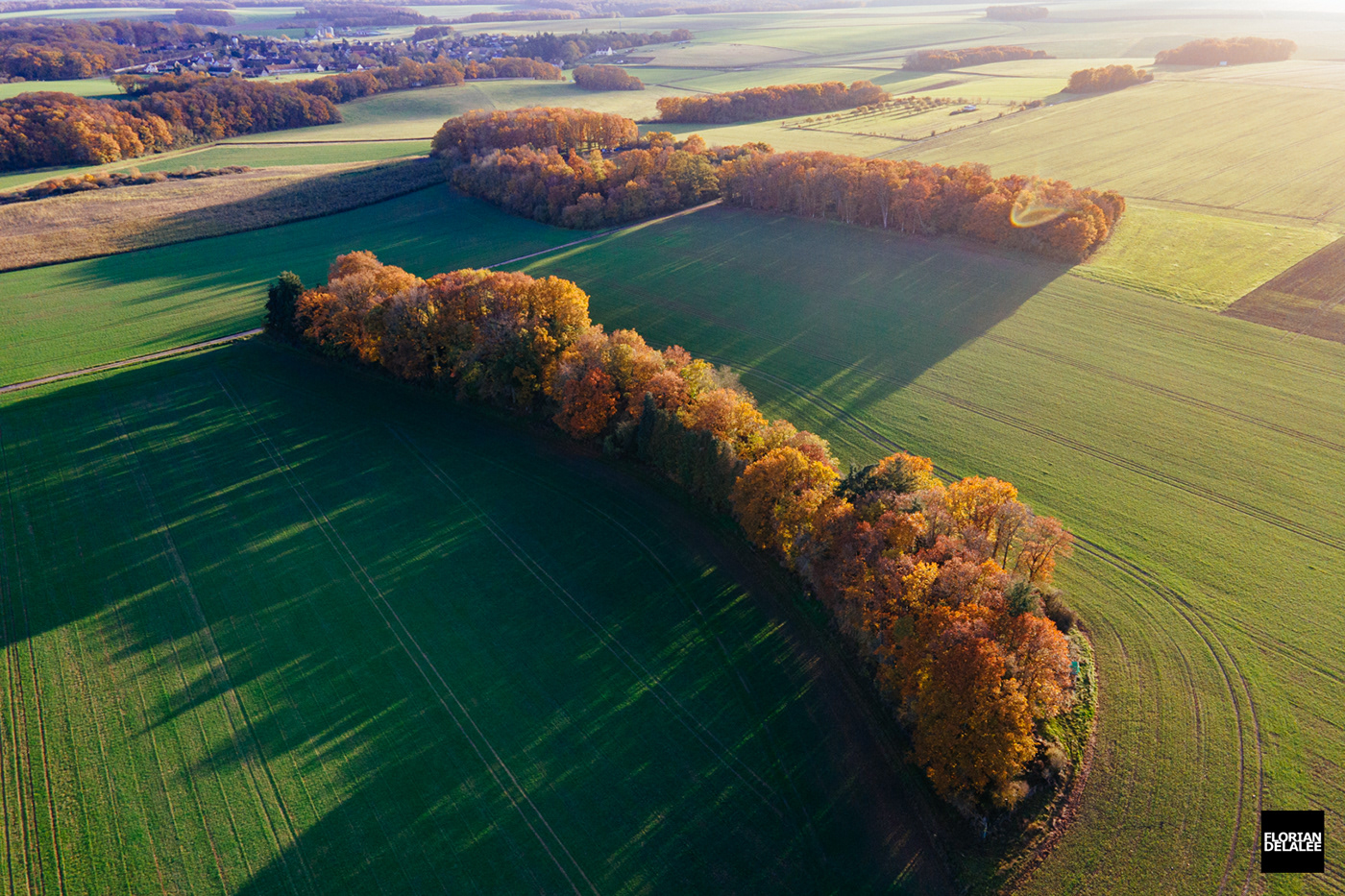 Aerial Photography autumn autumn colors DJI Fall forest france Landscape Nature Photography 