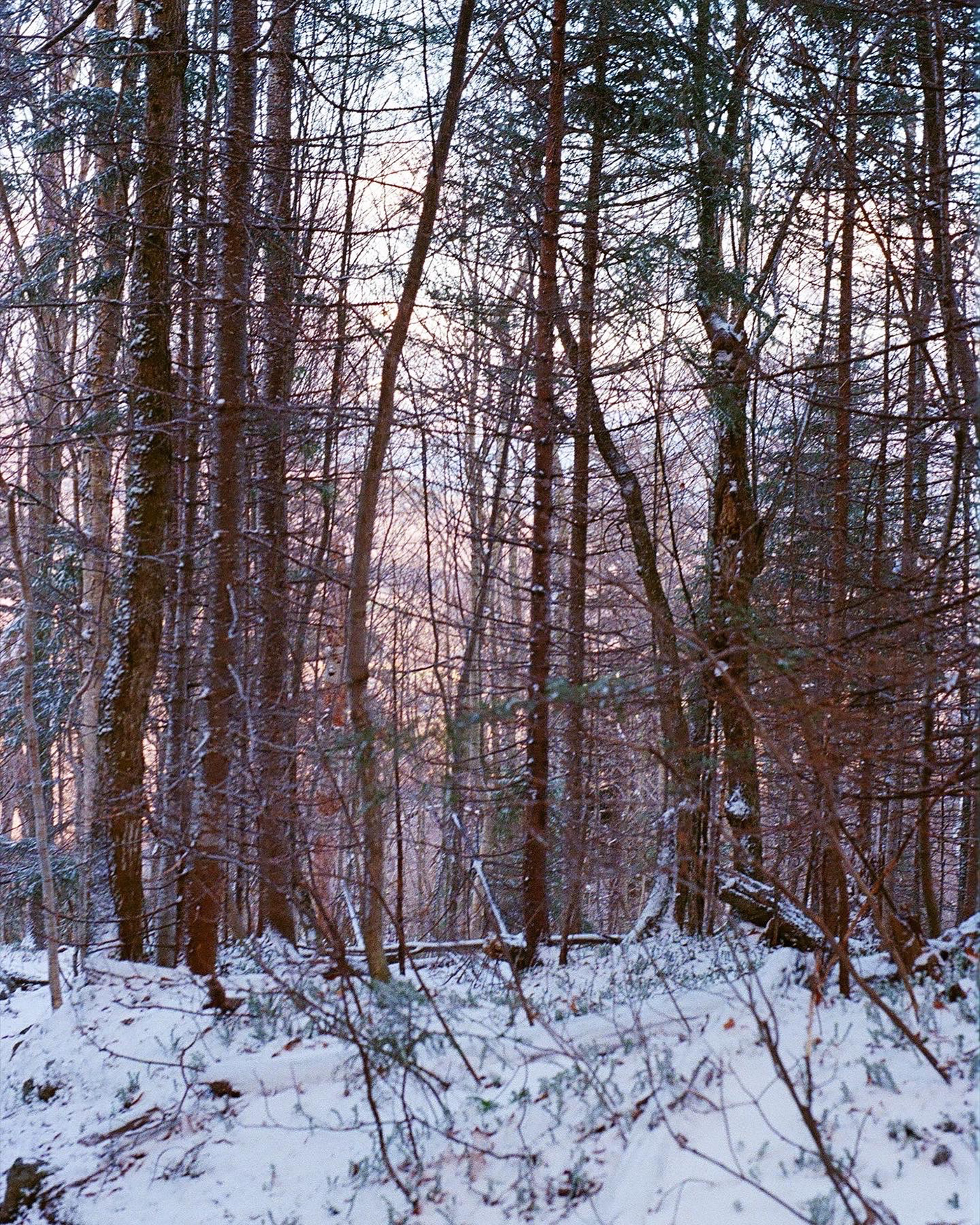 film photography Photography  travel photography Travel Vermont Landscape mountains snow