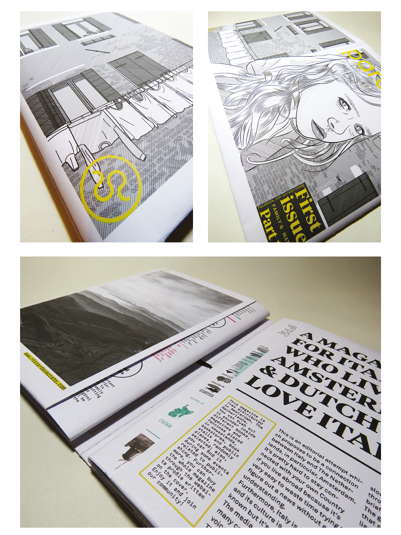 magazine folding graphic design  editorial dsegin ILLUSTRATION  information design thesis University distribution parassita