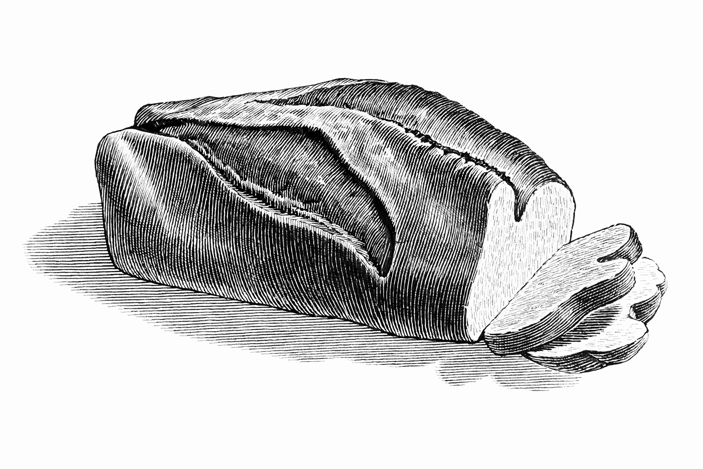 illustrations scratch board style breads Whole foods hand drawn engraving style illustration Illustrator