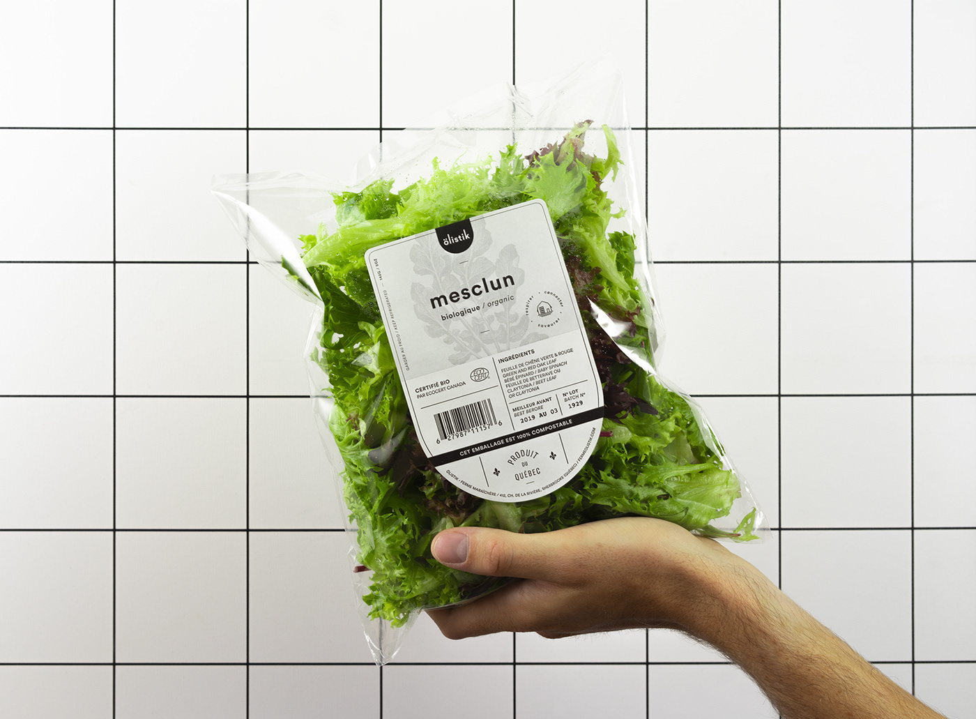 salad Packaging Label graphic design  Icon ILLUSTRATION  Montreal farm organic sherbrooke