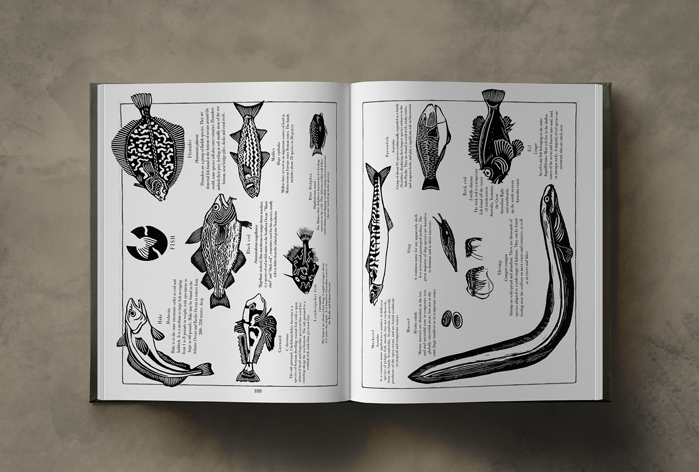 Poe edgarpoe linocut ILLUSTRATION  art printmaking encyclopedic edgarallanpoe whales fish