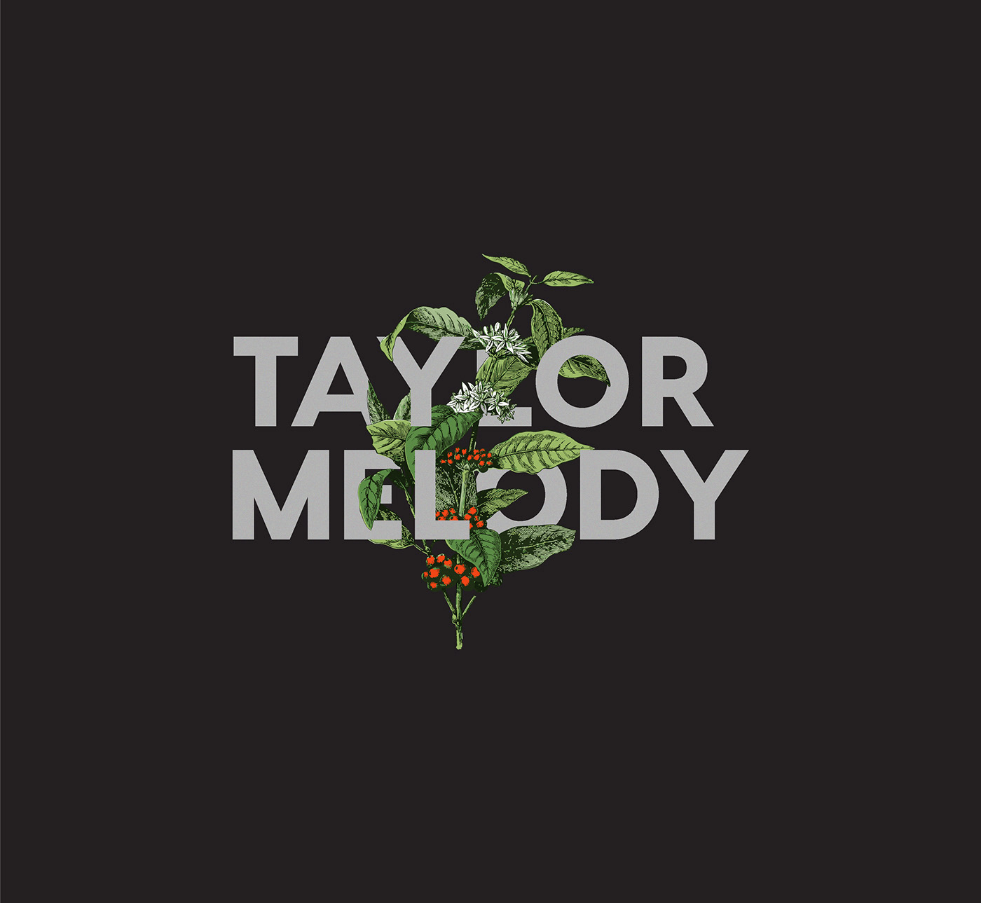 Coffee taylor melody Plant floral branding  design business dark