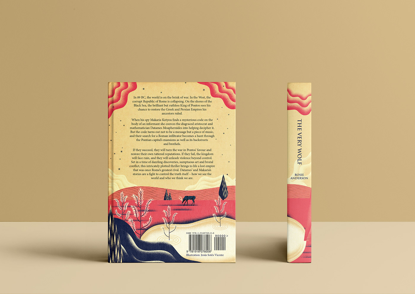 Cover Book Editorial Illustration Illustrated book Packaging press illustration