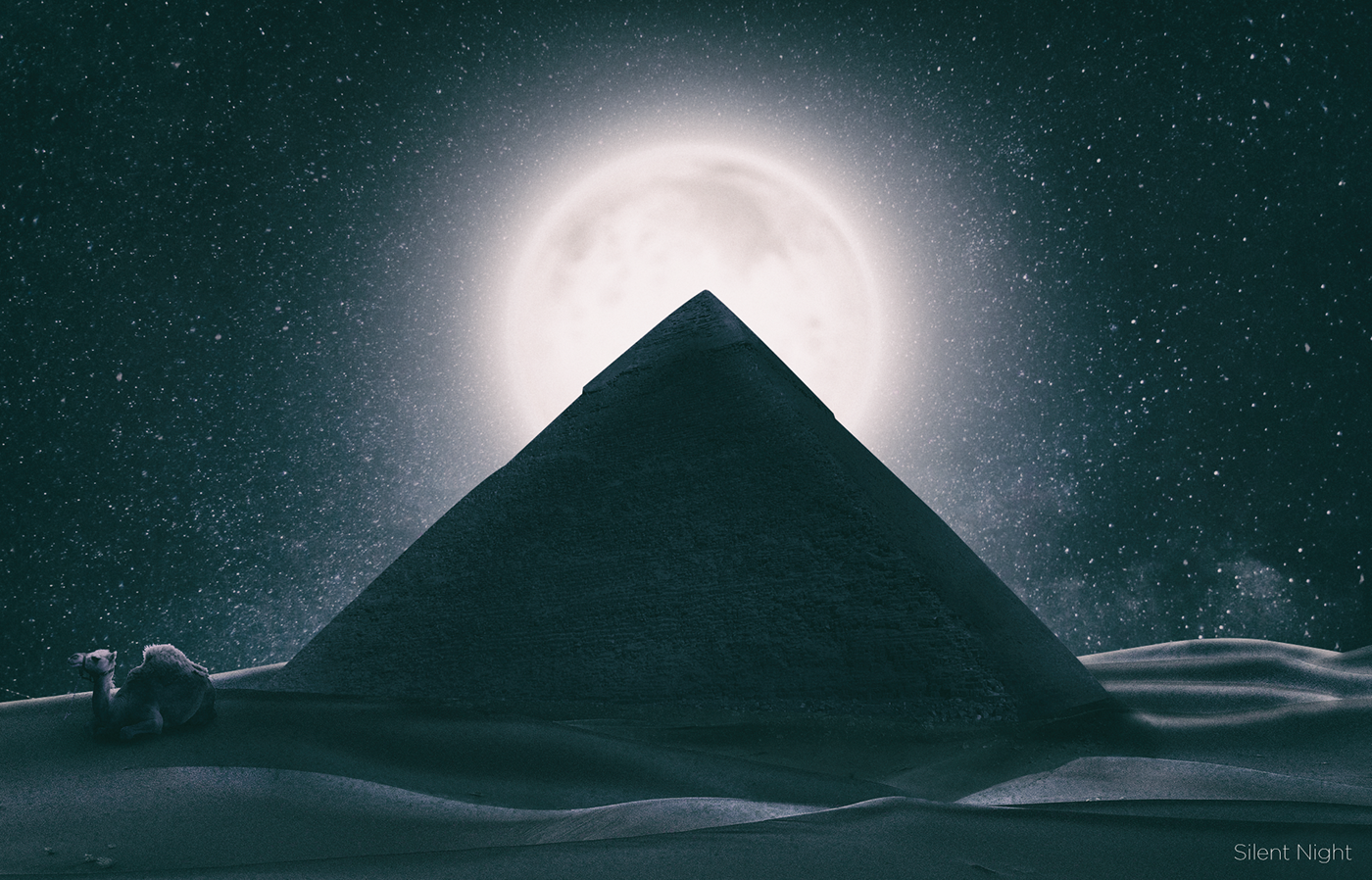 retouching  digital art egypt camel sand desert pyramid pyramids manipulation