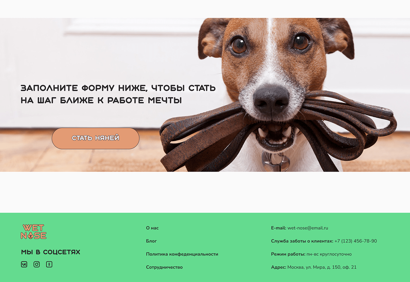 design dog Figma landing page prototype Web Design 