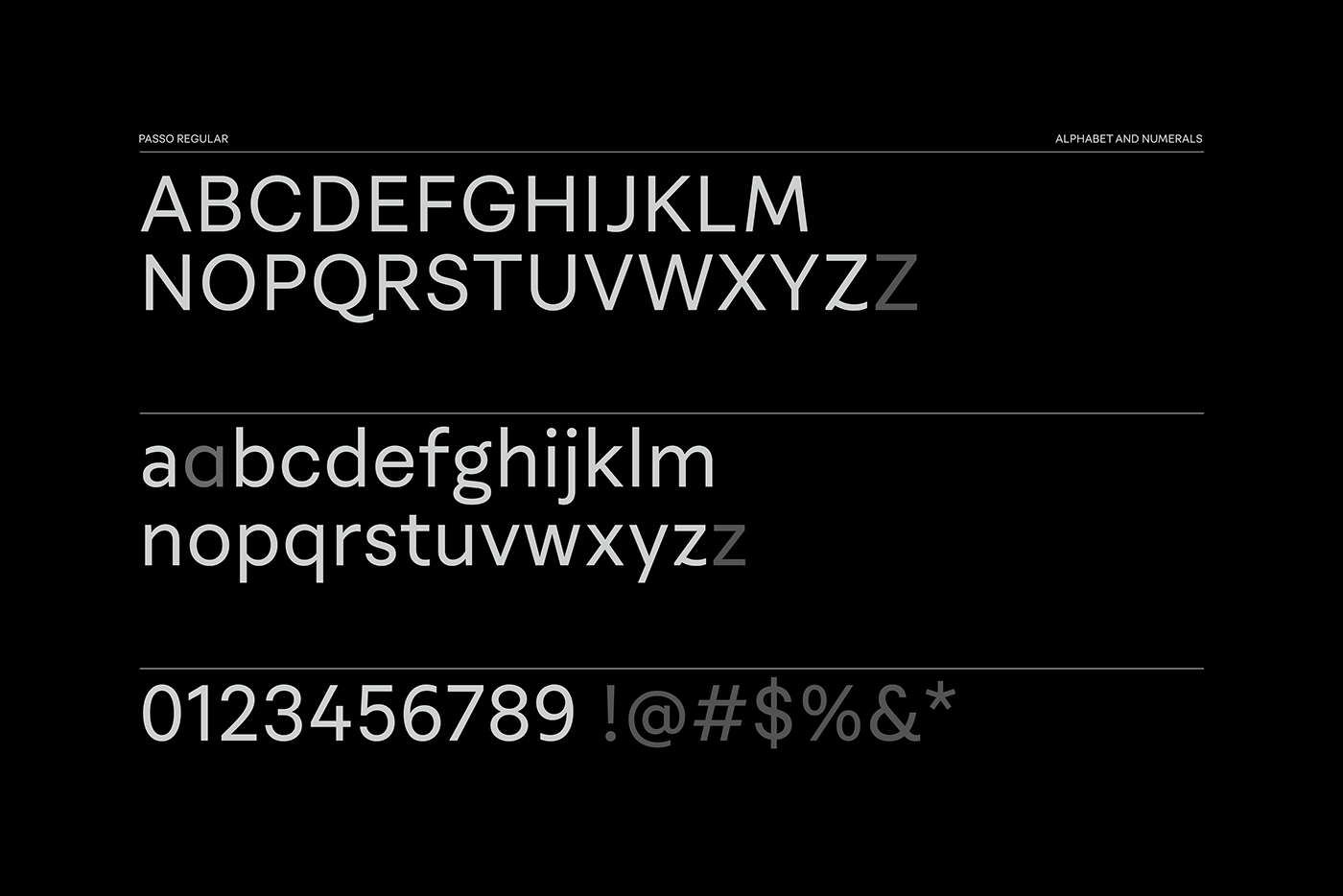 type typography   Typeface font Render 3D graphic design  grotesque type design sans serif