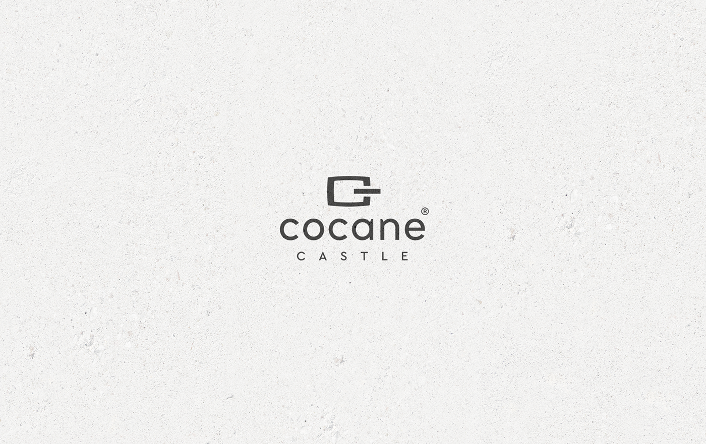 cocane castle Castle Cocane logo simpleandlogical Creativity clothing brand Clothing brand London
