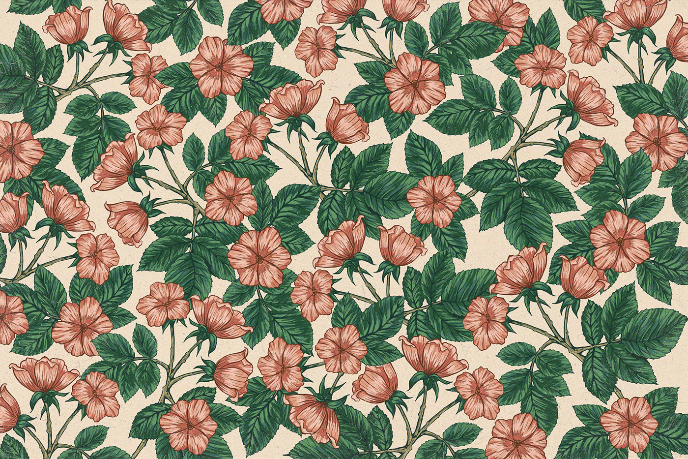 artwork fabric design floral flower Flowers ILLUSTRATION  pattern spring Tropical vintage