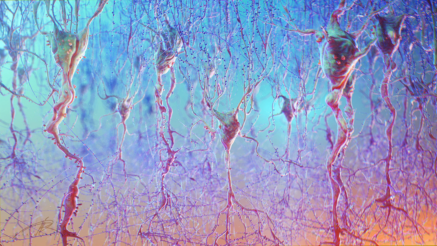 neurons neuron brain synaps medicine science SEM microworld   human body micro dof macro Axon dendrite
