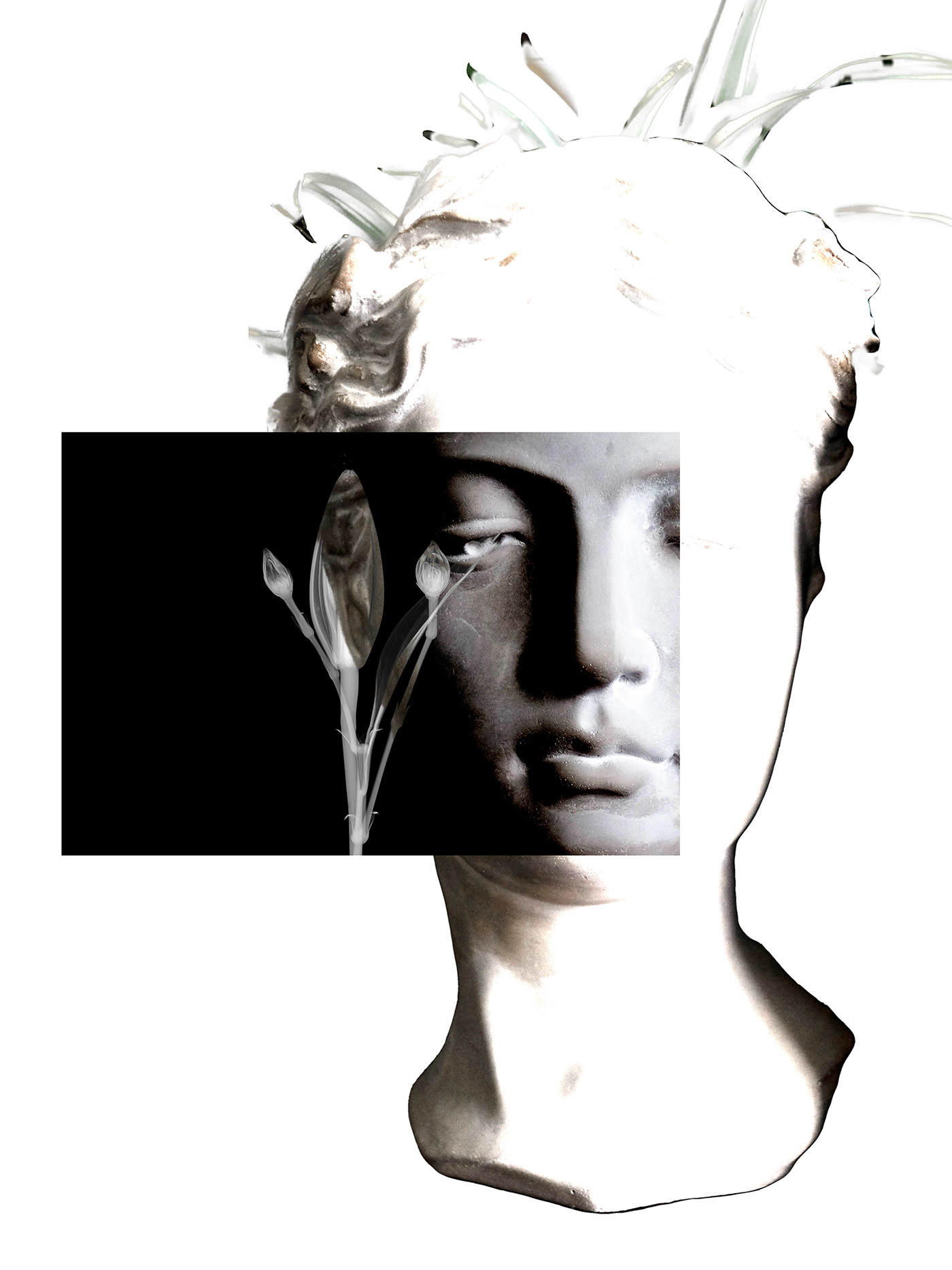 Digital Collage black and white digital illustration popsurrealism
