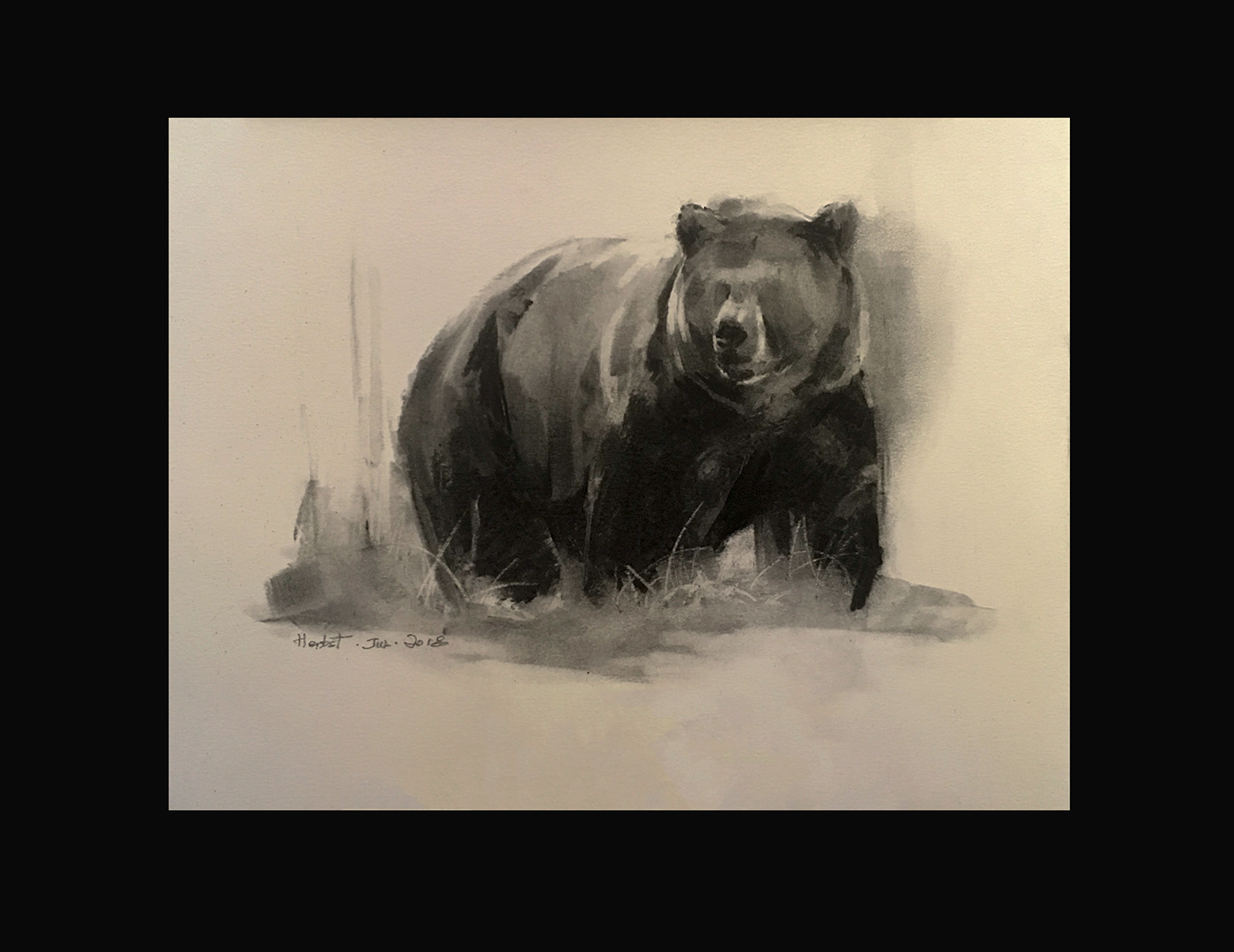 Drawing  Fine Arts  charcoal animal bear