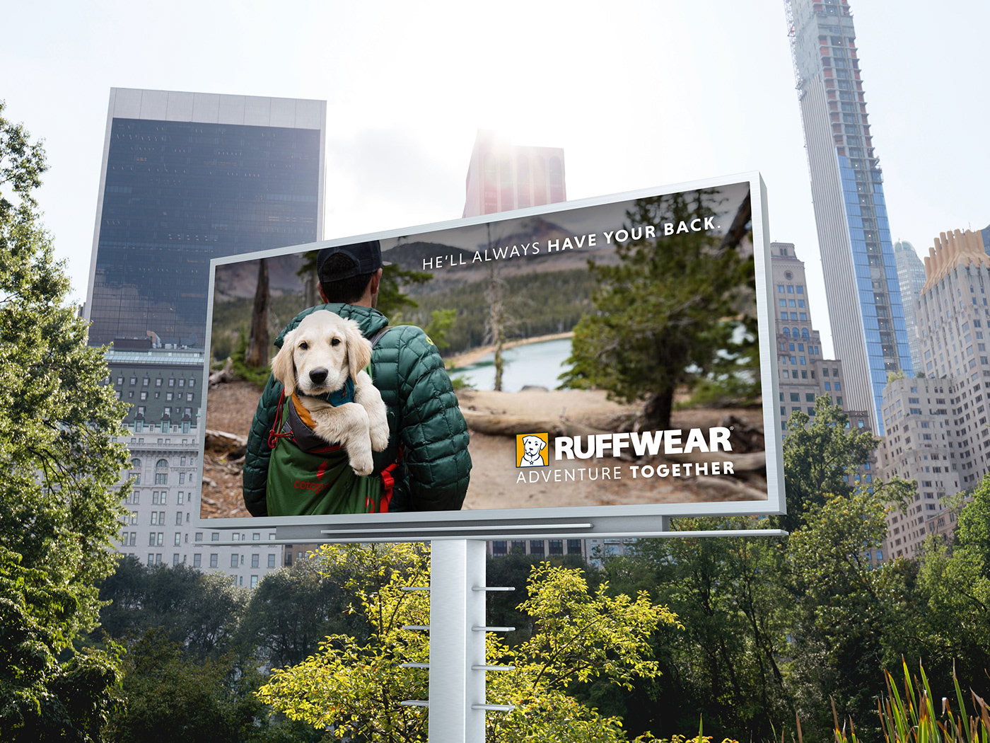 ad campaign Advertising  animals art direction  book shop ruffwear