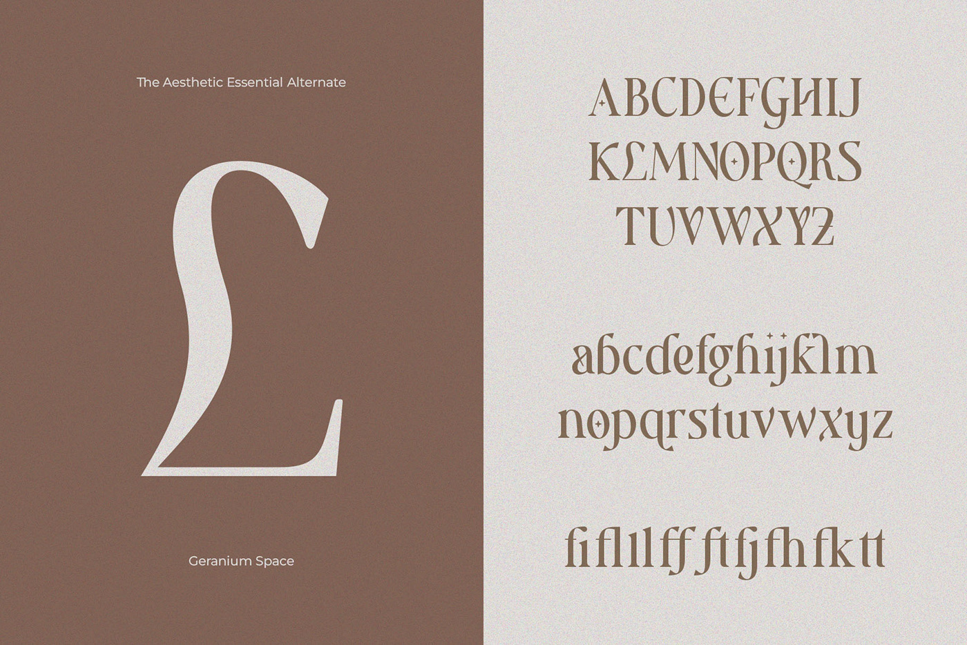 aesthetic elegant font feminine font free Free font modern modern font serif Typeface typography  