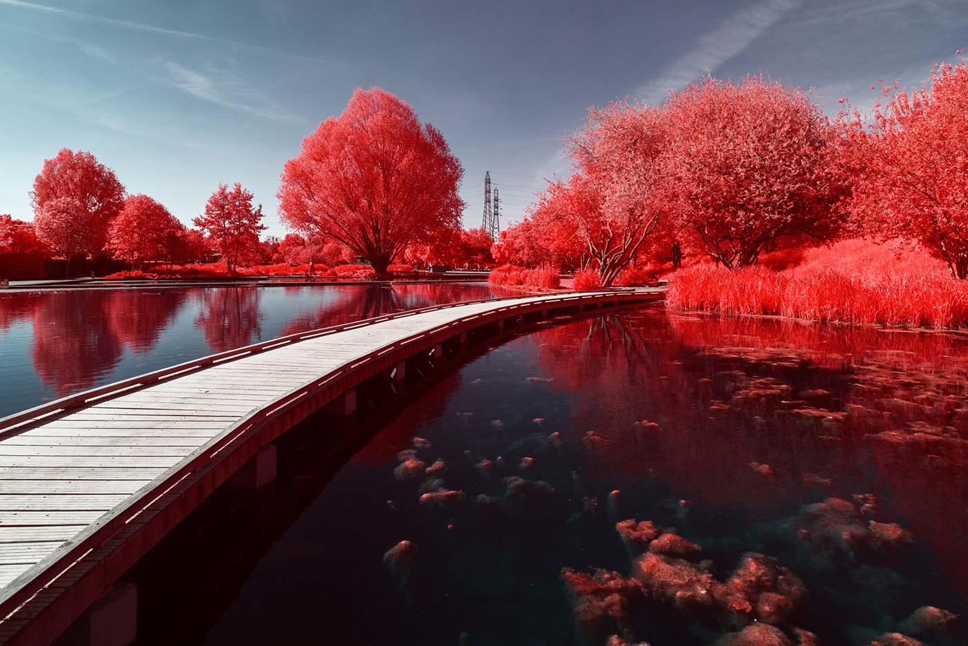 Aerochrome conceptual france infrared infrared photography Landscape Nature pylon surreal
