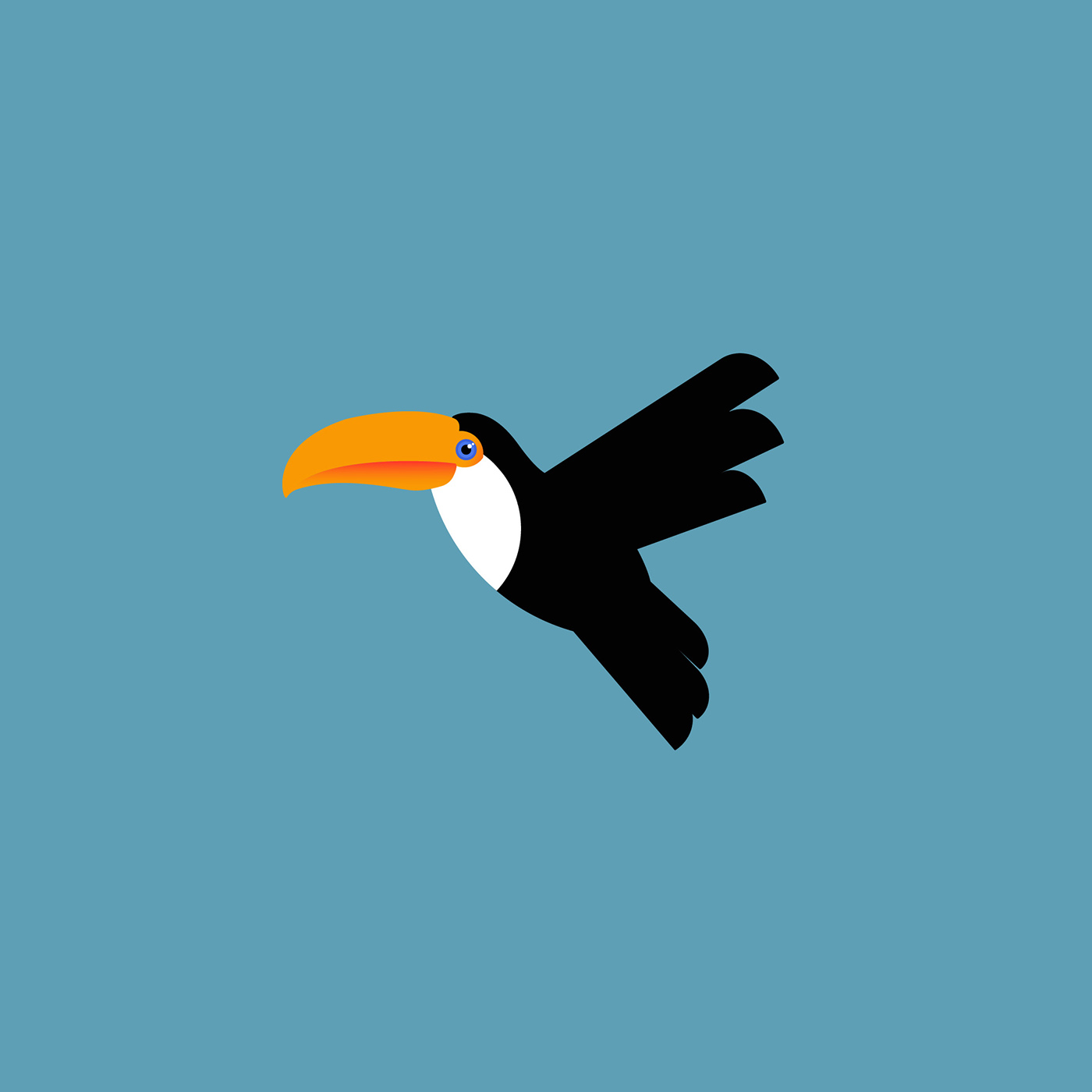toucan logo logodesign bird ILLUSTRATION  exotic vector
