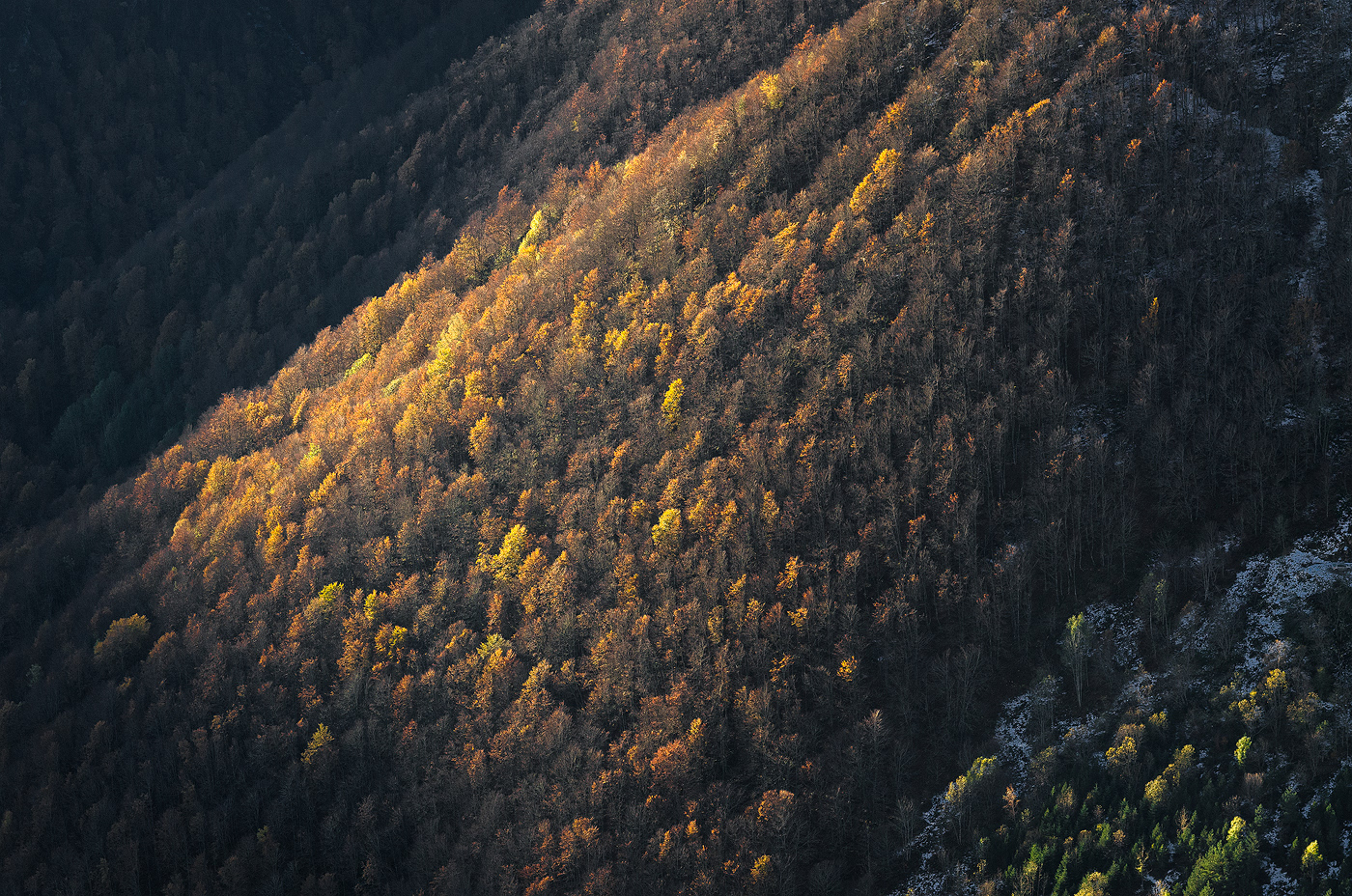 Landscape Nature Photography  autumn Fall trees forest woods mountains pyrenees