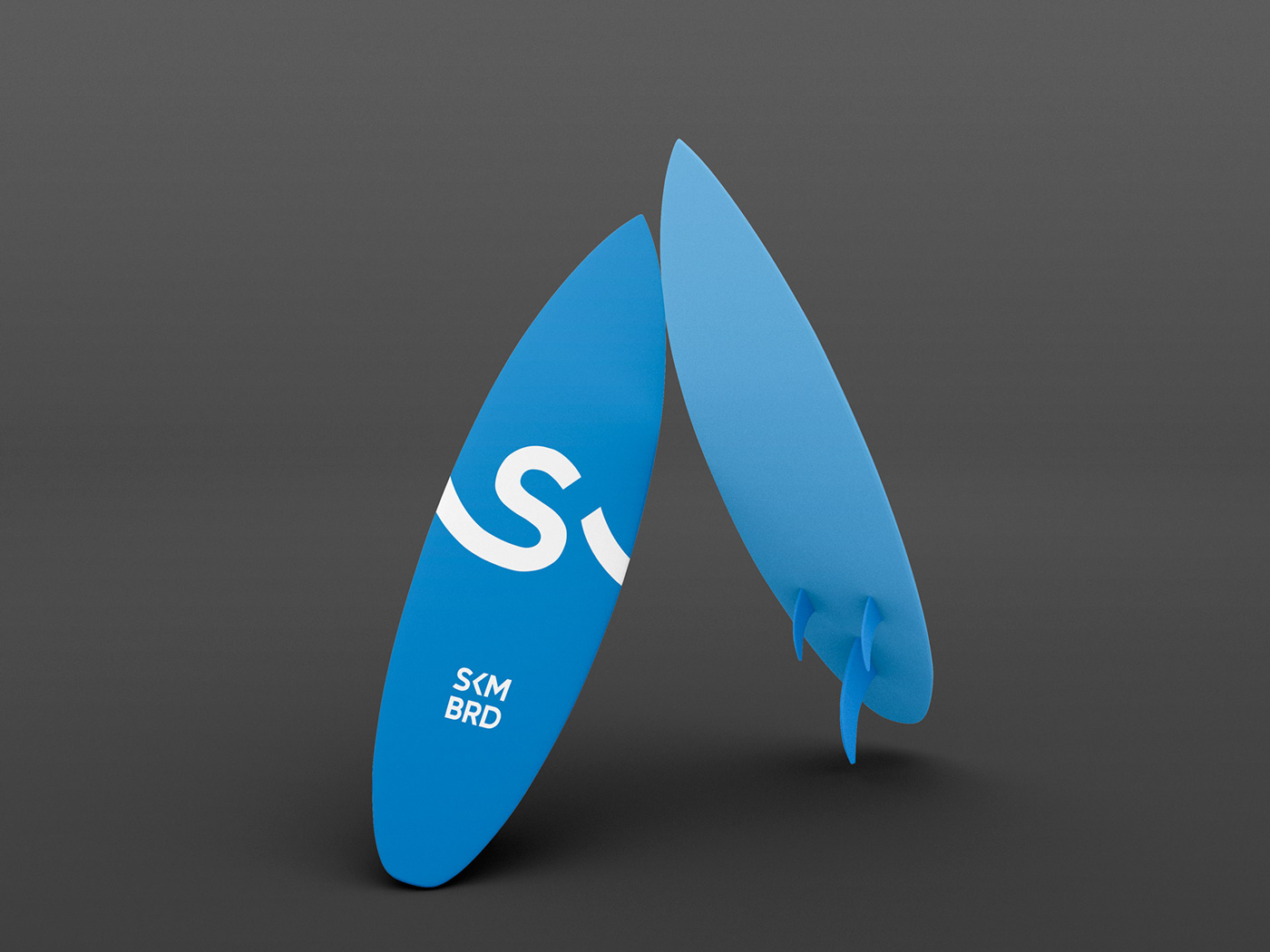 blue Brand Design branding  corporate Corporate Identity identity Surf surfing