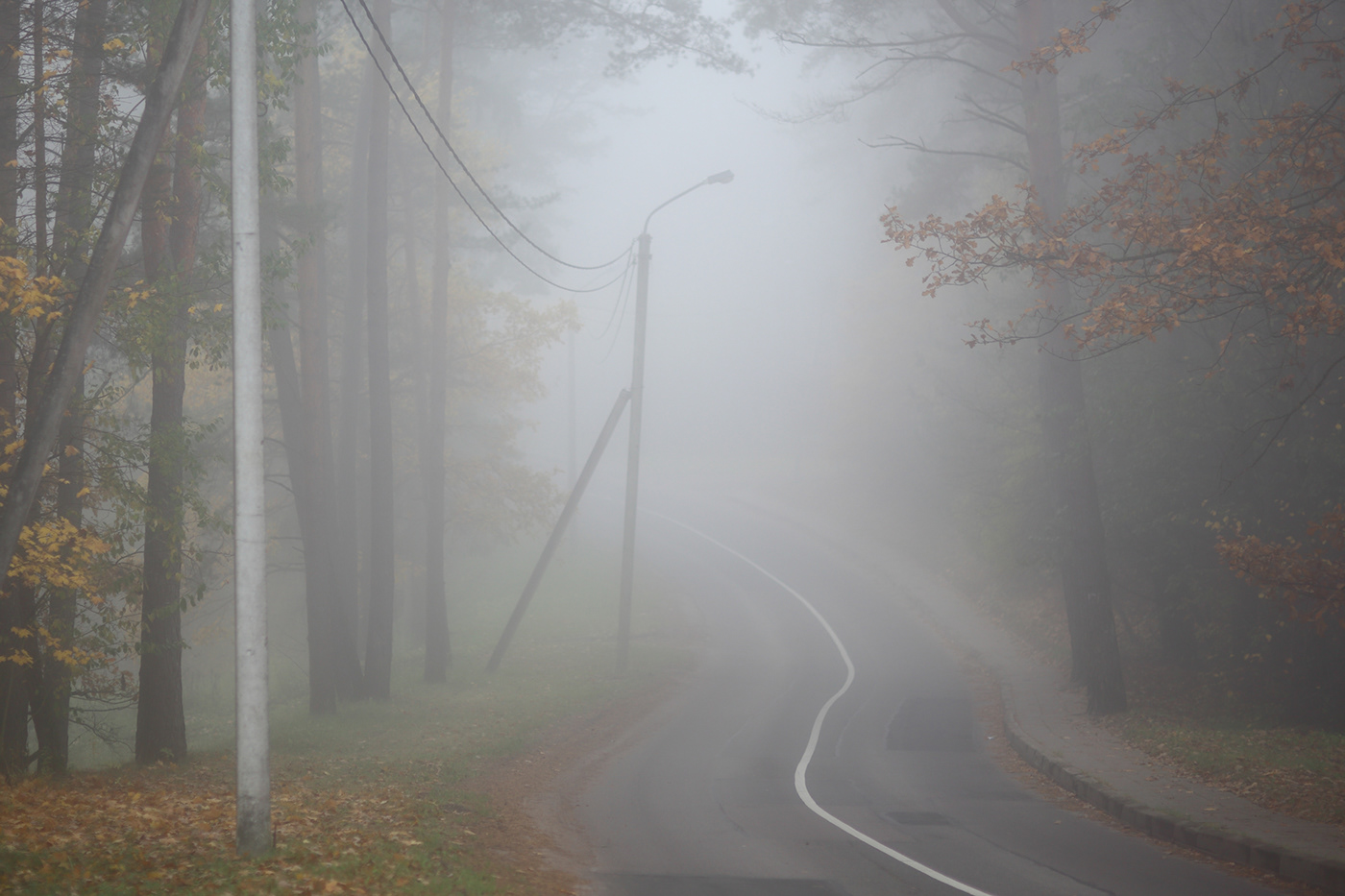 autumn fog lietuva lithuania Mindaugas Buivydas mist Nature Photography  trees