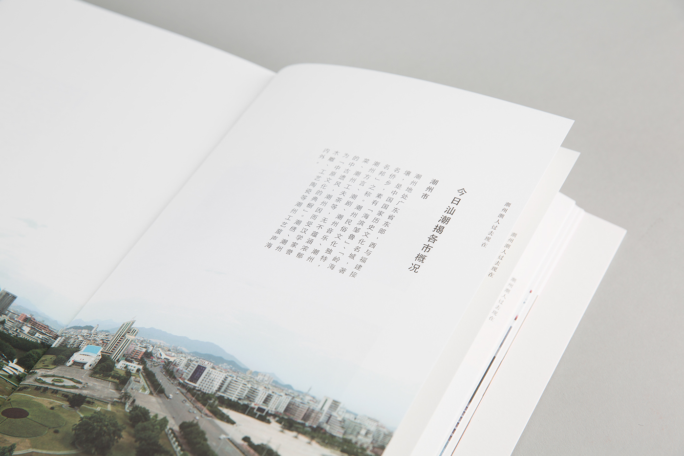 singapore teochew culture teochew festival teochew anniversary anniversary commemorative book Layout Design Layout corporate work corporate Singapore design singapore chinese culture dialect teochew clan mandarin typography Chinese typography