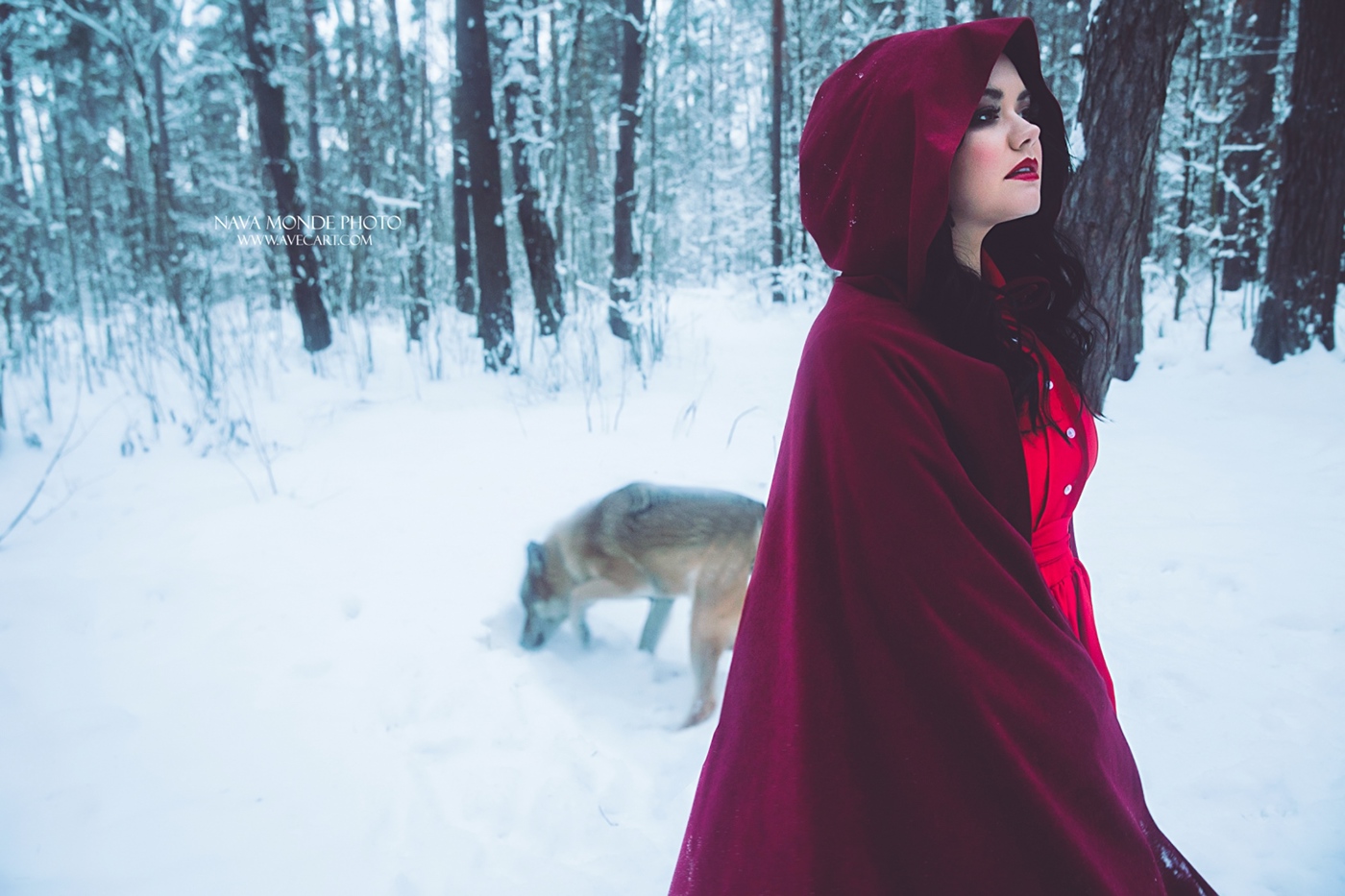 wolf animal snow digital art gallery winter fairytale redridinghood