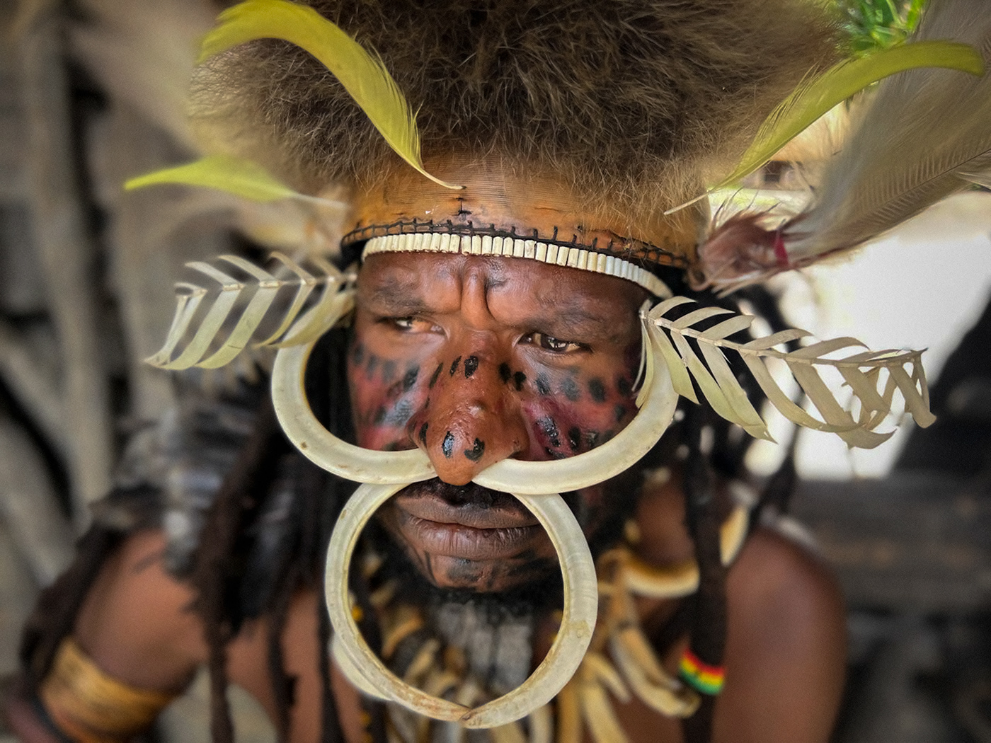 tribe Papua New Guinea Photography  ceremony