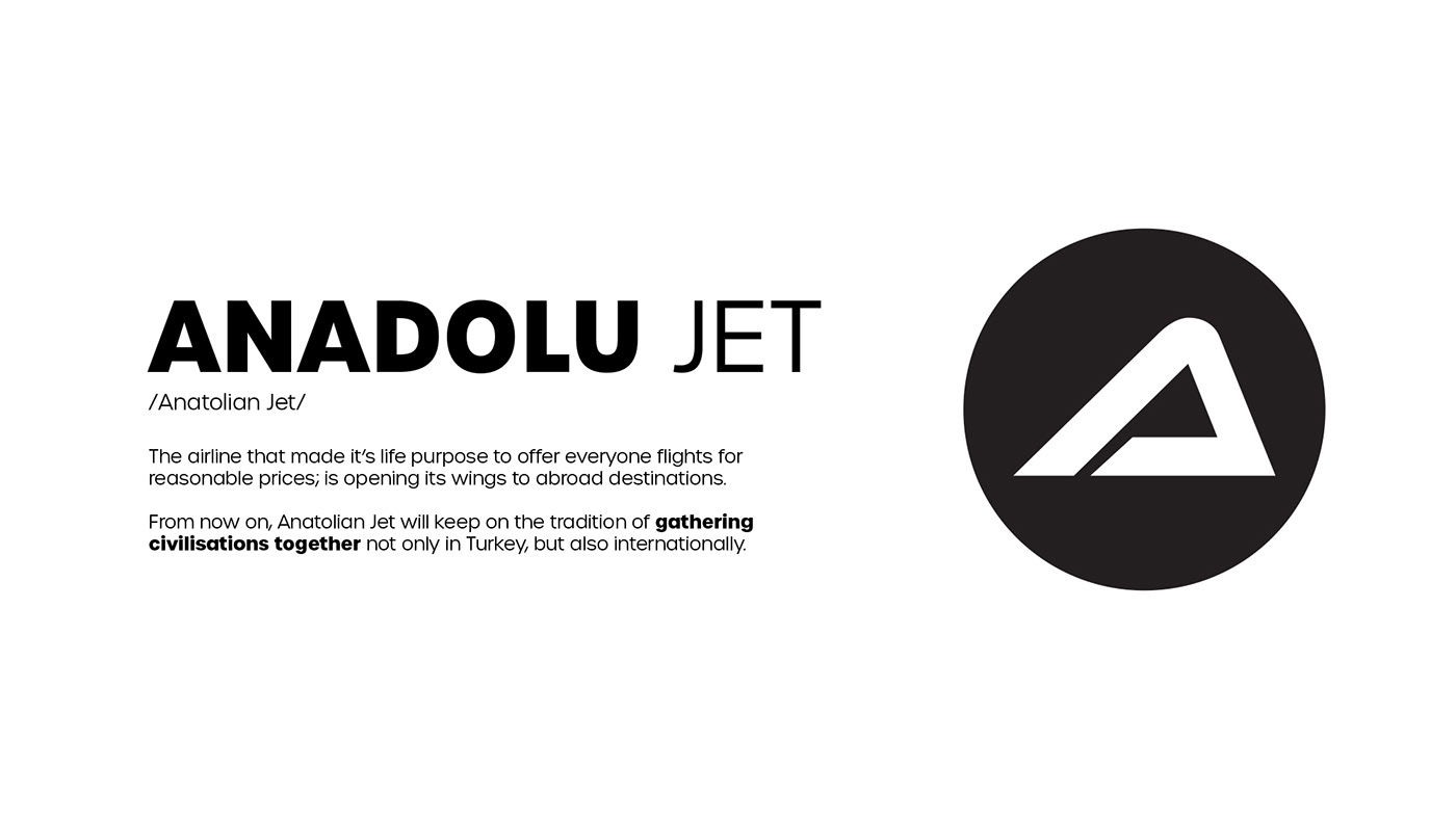 aviation branding  concept creative design