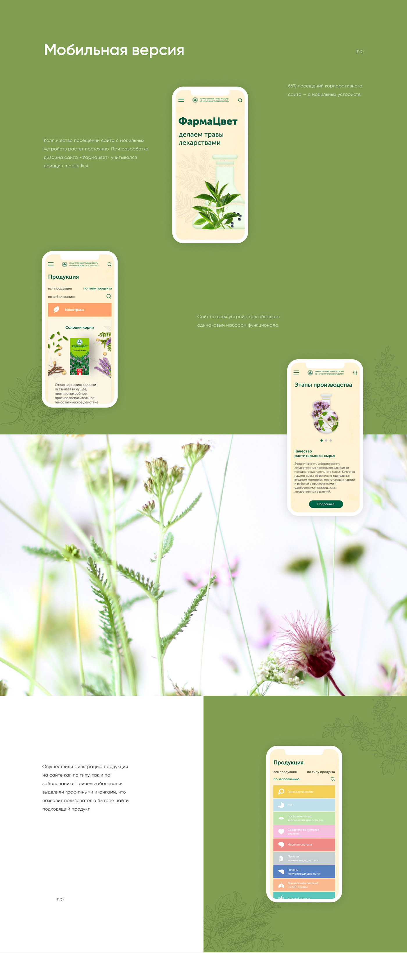 brand Drugs Health pharmacy promo tea UI ux Web Webdesign