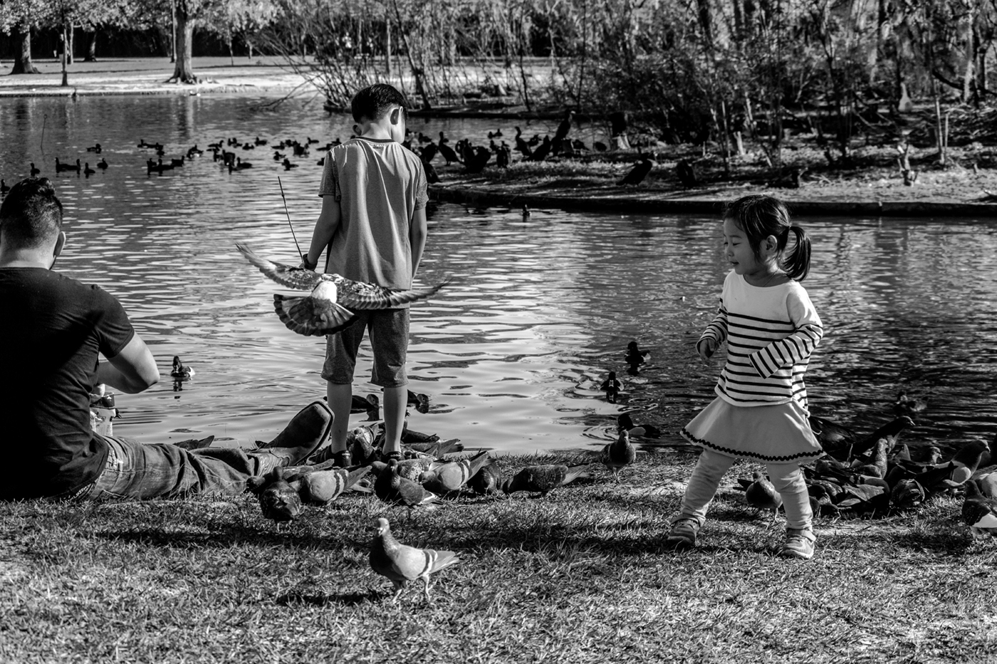 houston texas hermann park nature photography people watching