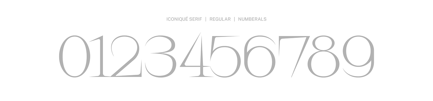 Display font serif specimen type typography   Free font nguyentype