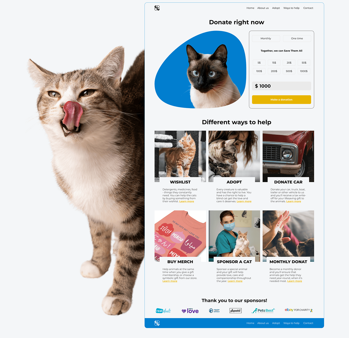 redesign charity rescue Cat prototype landing page Web Design  ux/ui