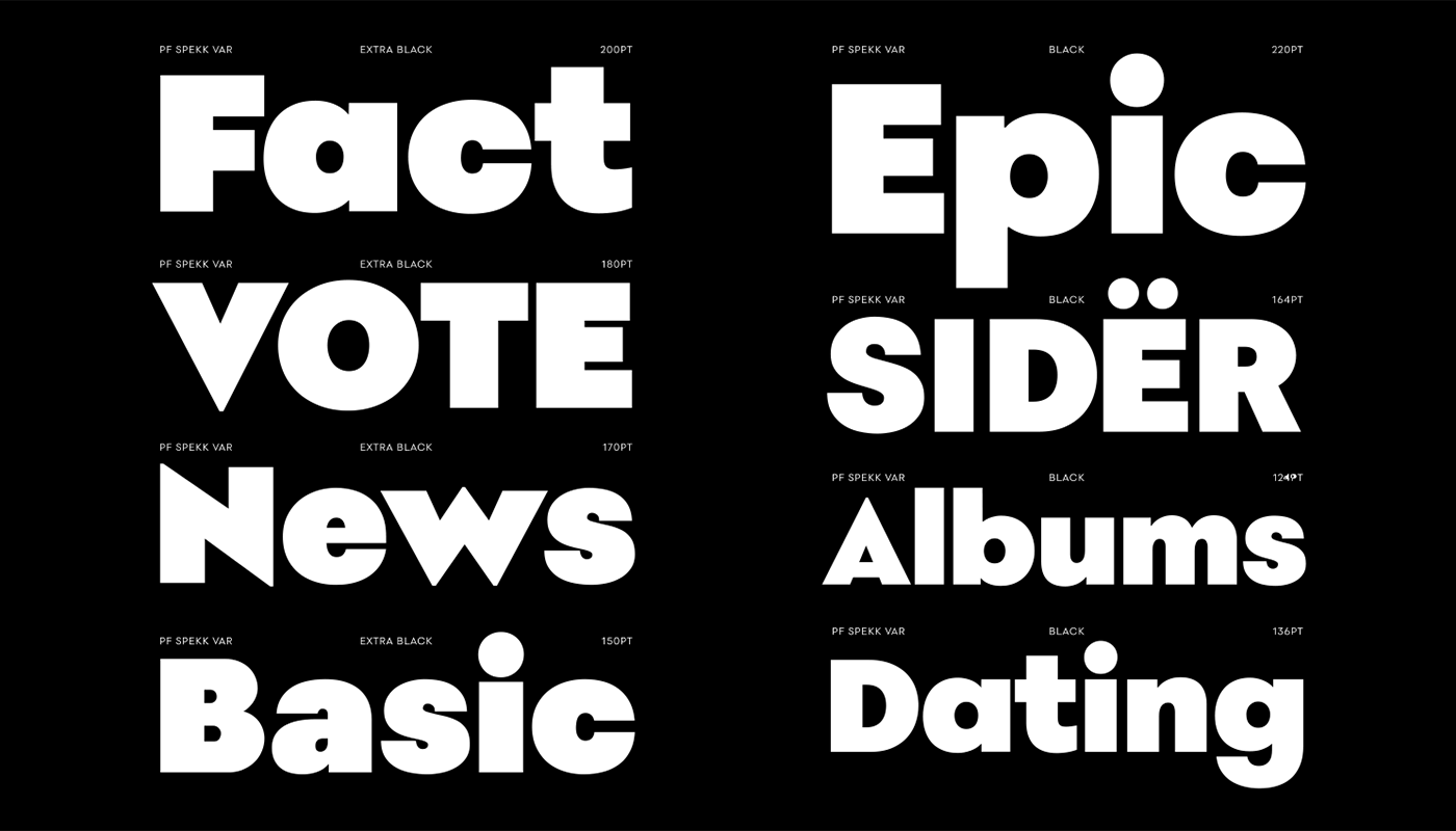 corporate font geometric magazine sans Typeface unconventional variable versatile warm