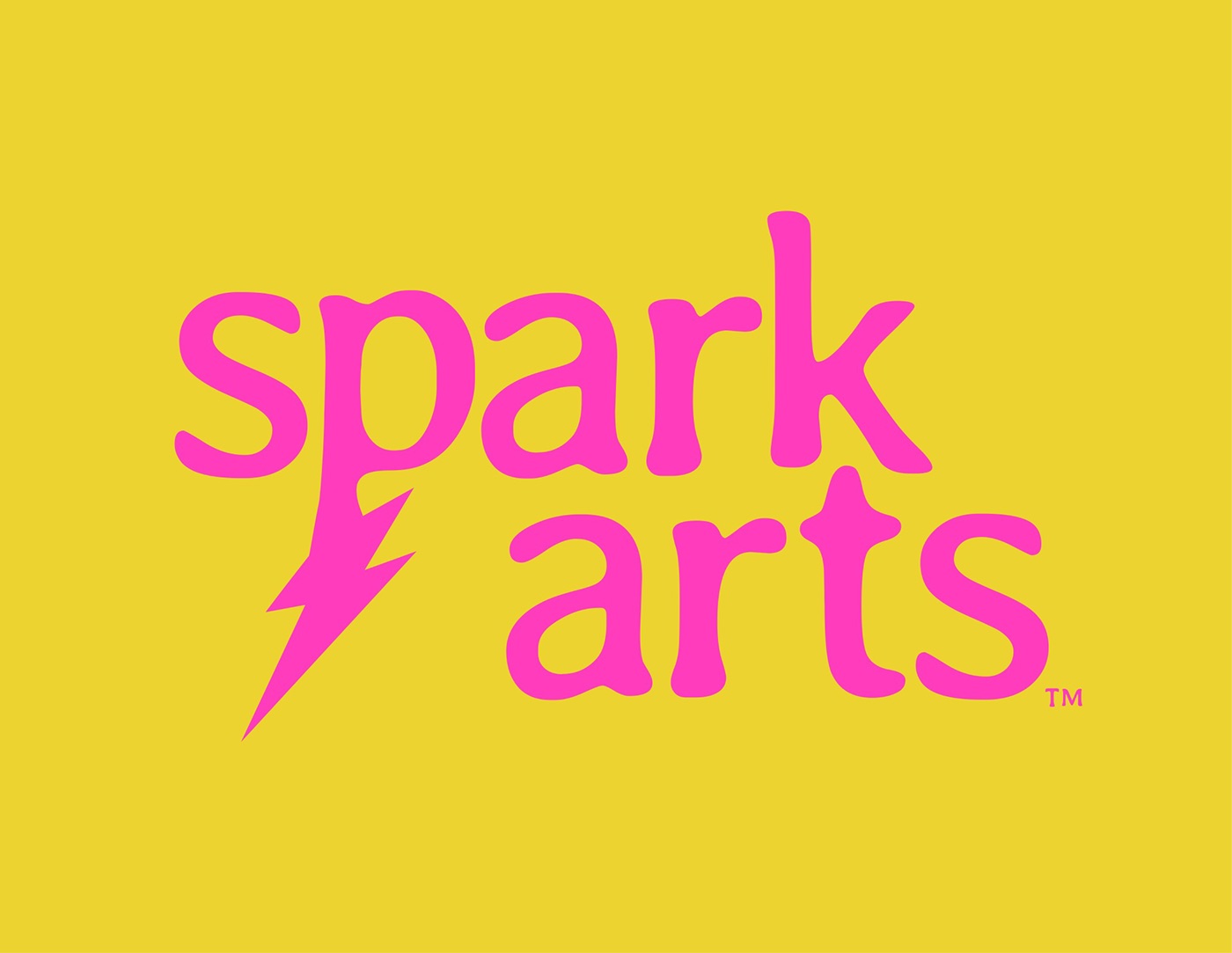 web development  Web Design  graphic design  Spark Arts