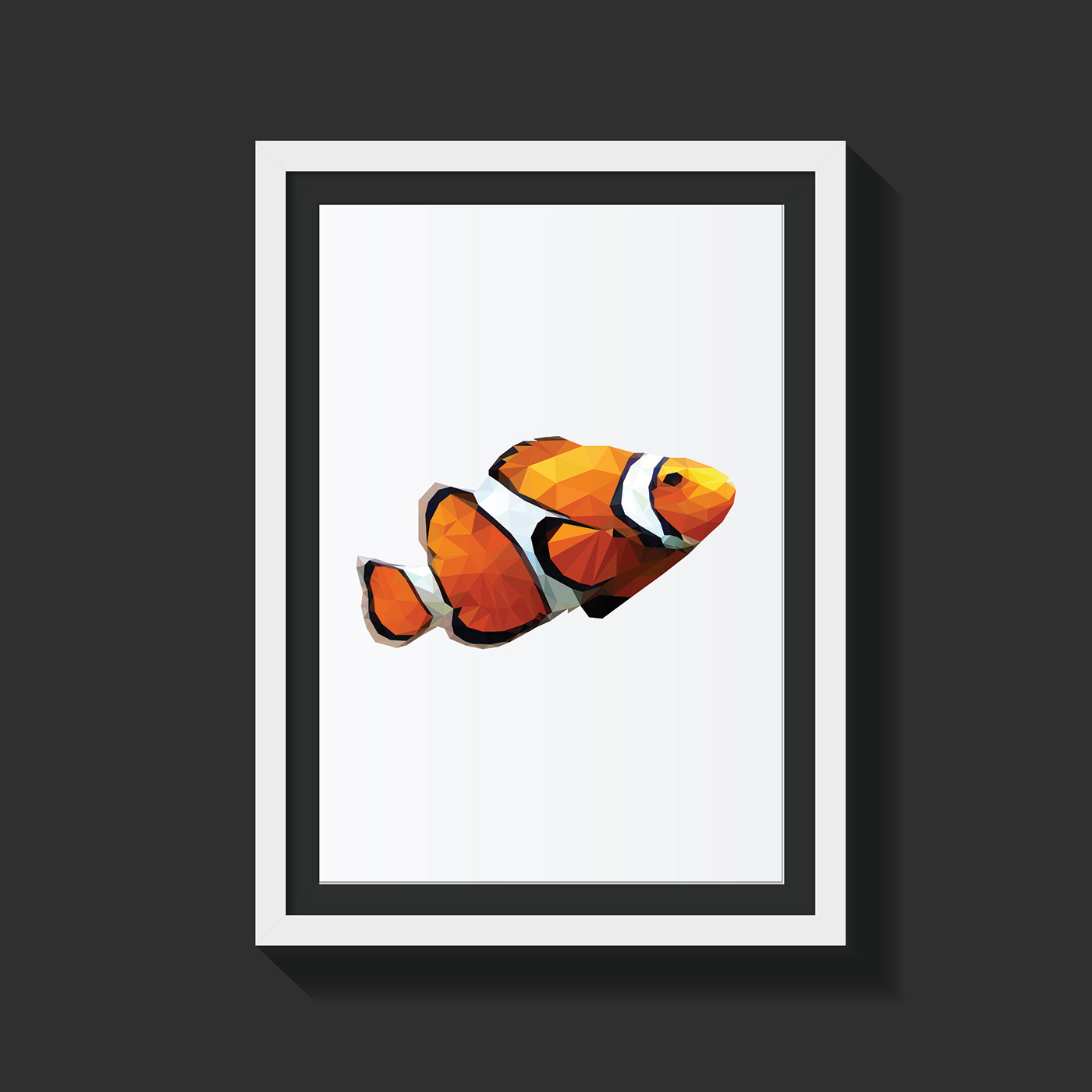 clown fish fish orange water
